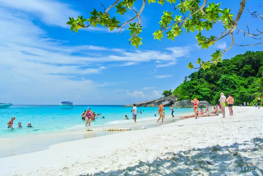 From Khao Lak & Phuket: Trip to Similan Islands by Speedboat - Sailing Rock at Island 8: the best quick legs-and-views moment