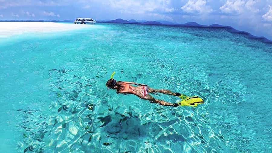 From Khao Lak & Phuket: Trip to Similan Islands by Speedboat - Ko Bangu: reef snorkeling where the water clarity does the talking