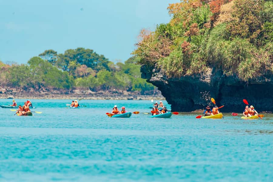 From Ko Pha Ngan: Angthong Marine Park Speedboat Adventure - Kayaking around islands and caves: where the day gets hands-on