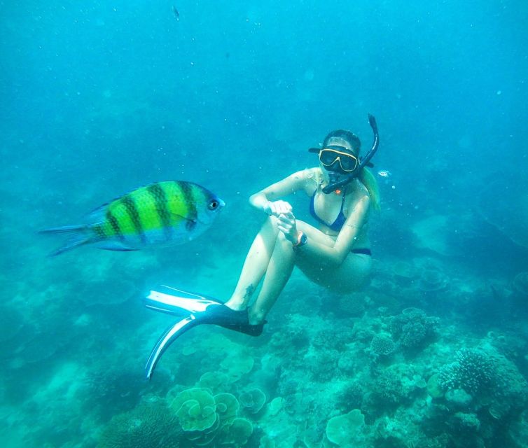 From Koh Lanta: Koh Haa & Koh Rok Snorkel Tour by Speedboat - How long you’re actually in the water (and what gear matters)
