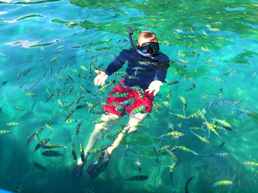 From Krabi: 4 Islands Snorkeling Tour by Speed Boat - Who This Tour Fits Best (and Who Might Want Another Plan)