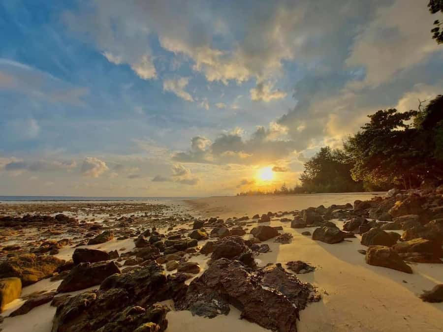 From Krabi: Phi Phi Early Bird & 4 Islands by Speedboat - Key takeaways before you go
