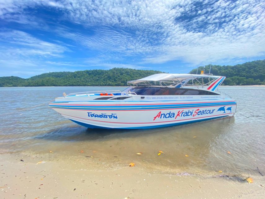 From Krabi: Phi Phi Island Full-Day Private Speed Boat Tour - Loh Samah Bay: coral reefs in clear, shallow water