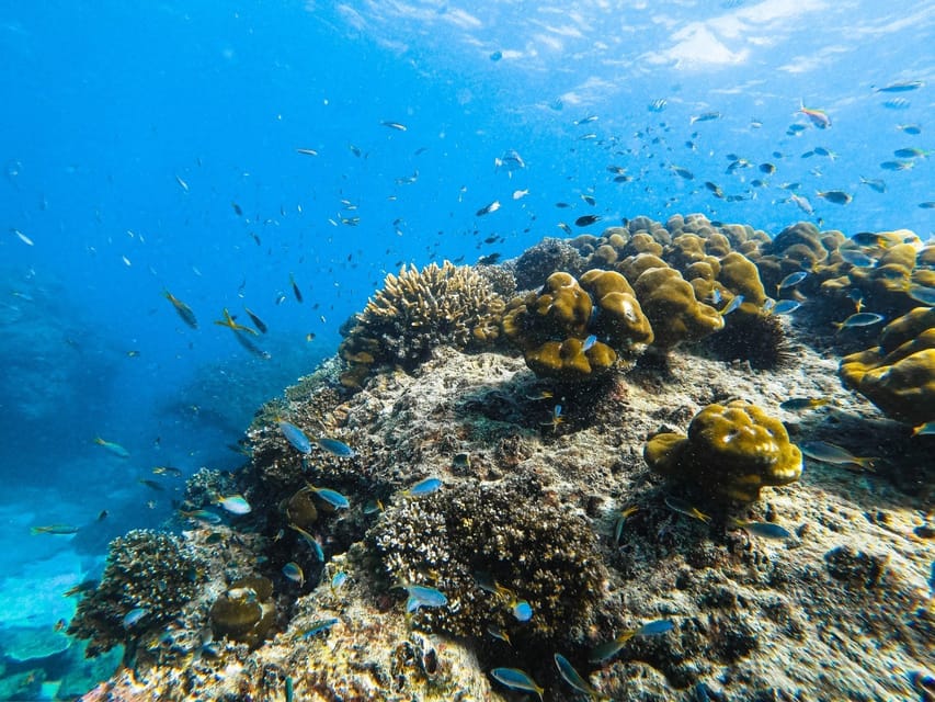 From Krabi: Phi Phi Islands Speedboat Day Tour - Key things I’d bet you’ll care about