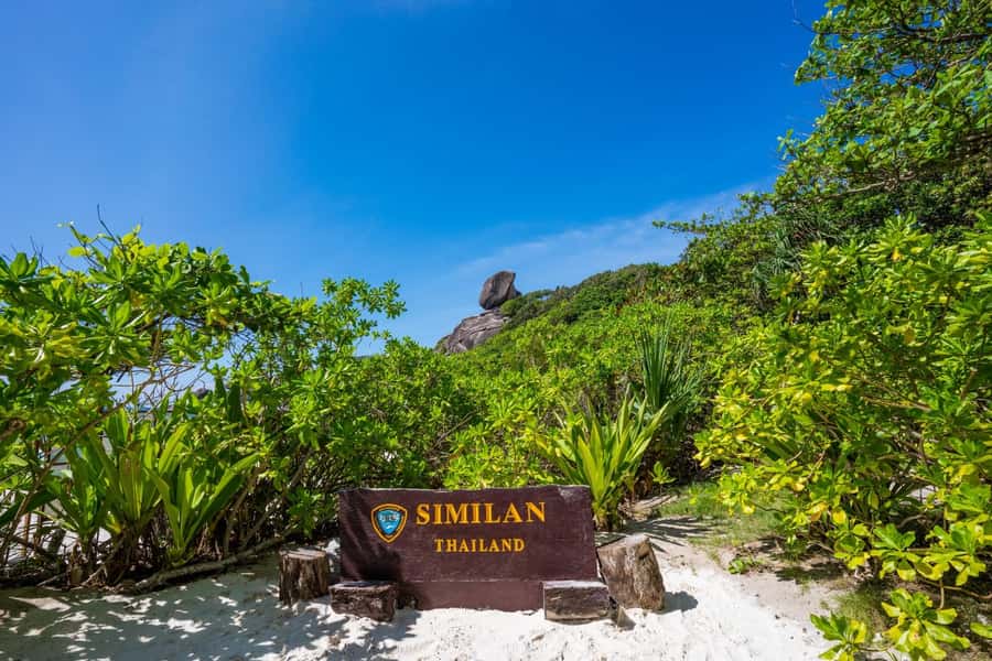 From Krabi: Similan Islands Day Trip by Speedboat - Snorkeling at Koh Payu and Koh Bangu: beginner-friendly, with real crowd pressure
