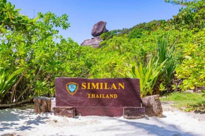 From Krabi: Similan Islands Snorkeling Trip by Speedboat - The van to Khao Lak pier: where the day gets real