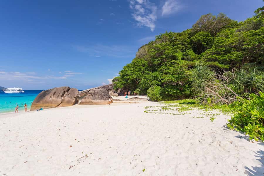 From Krabi: Similan Islands Snorkeling Trip by Speedboat - Snorkeling gear and the practical reality of coral conditions
