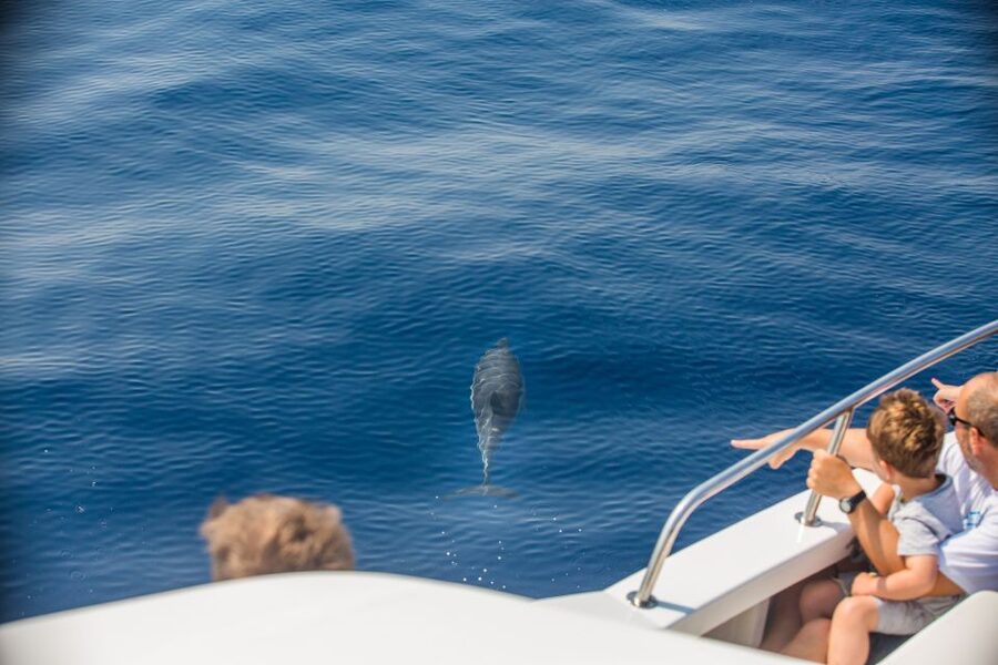 From Lefkimmi: Paxos, Antipaxos & Blue Caves Speedboat Tour - Pickup timing and the 09:25 departure reality