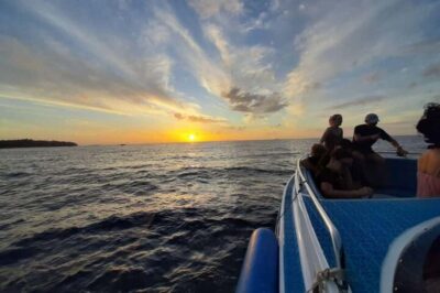 From Phi Phi Don:Sunset and Plankton Snorkeling by Speedboat - Monkey Bay macaques: wildlife viewing without the circus