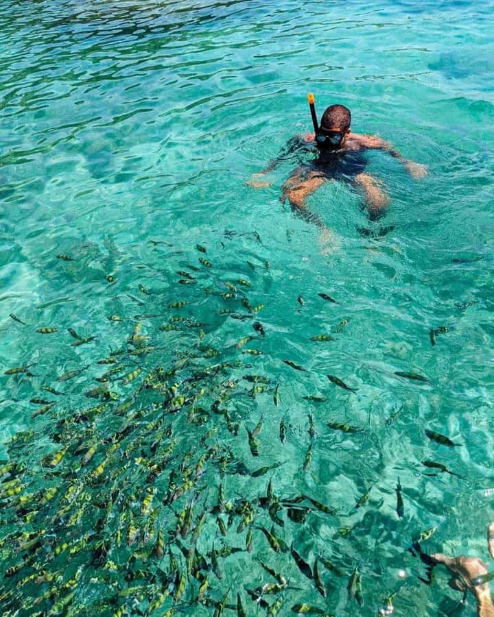 From Phi Phi Don:Sunset and Plankton Snorkeling by Speedboat - Maya Bay: movie-famous, but you’ll follow the rules