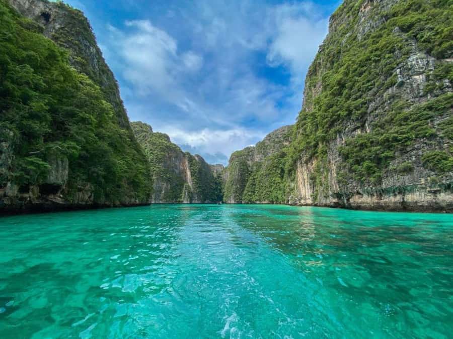 From Phi Phi Don:Sunset and Plankton Snorkeling by Speedboat - The snorkeling piece: Blacktip reef sharks and the fish you actually notice