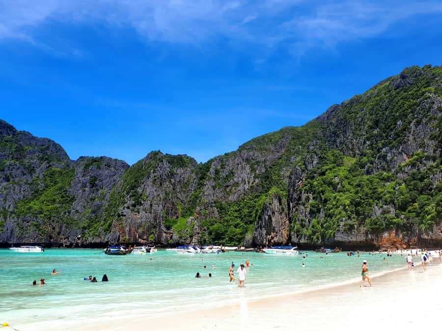 From Phi Phi : Full Day tour by Speed Boat with Lunch - Pileh Lagoon snorkeling plus Shark Point blacktip reef sharks