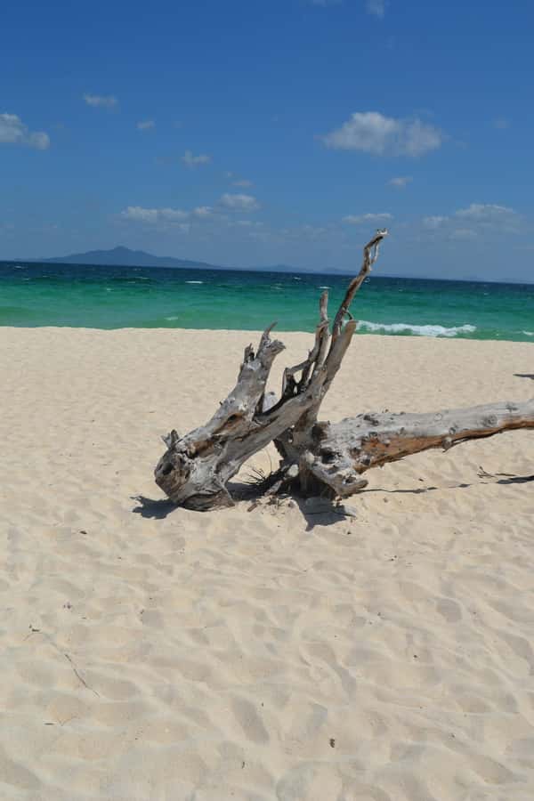 From Phi Phi : Full Day tour by Speed Boat with Lunch - Lunch box, drinks, and what you really get for $66