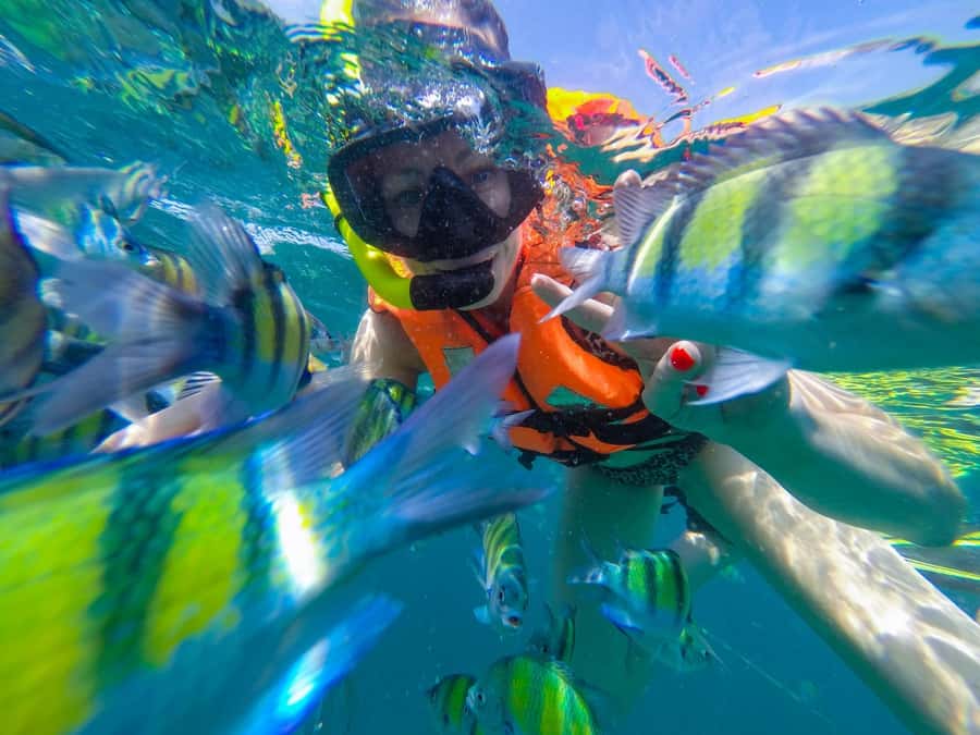 From Phuket: Phi Phi and Maya Bay Snorkeling by Speedboat - From Phuket to Phi Phi: pickup timing and your day start