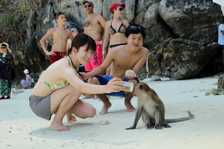 From Phuket: Phi Phi and Maya Bay Snorkeling by Speedboat - How the $112 price stacks up for value