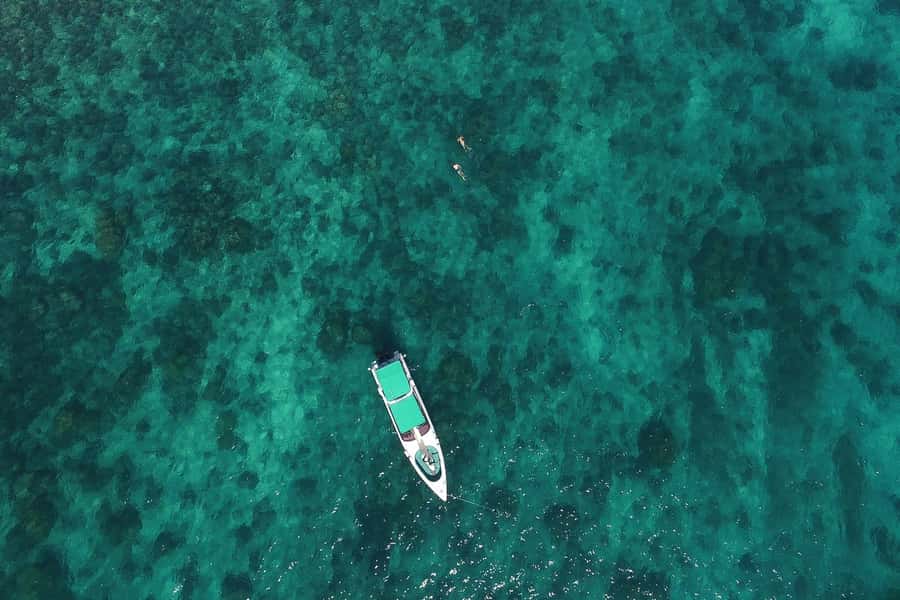 From Phuket: Phi Phi Island Private Full-Day Speedboat Trip - Yong Kasem (Monkey Beach): snorkeling reefs in a compact stop