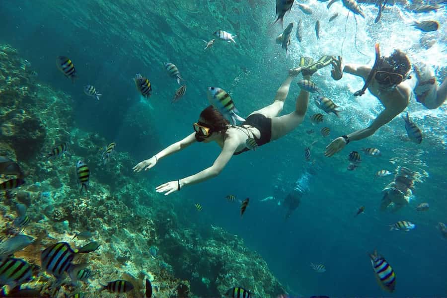 From Phuket: Phi Phi Island Private Full-Day Speedboat Trip - Nui Bay and Camel Rock: dramatic shoreline views with swim time