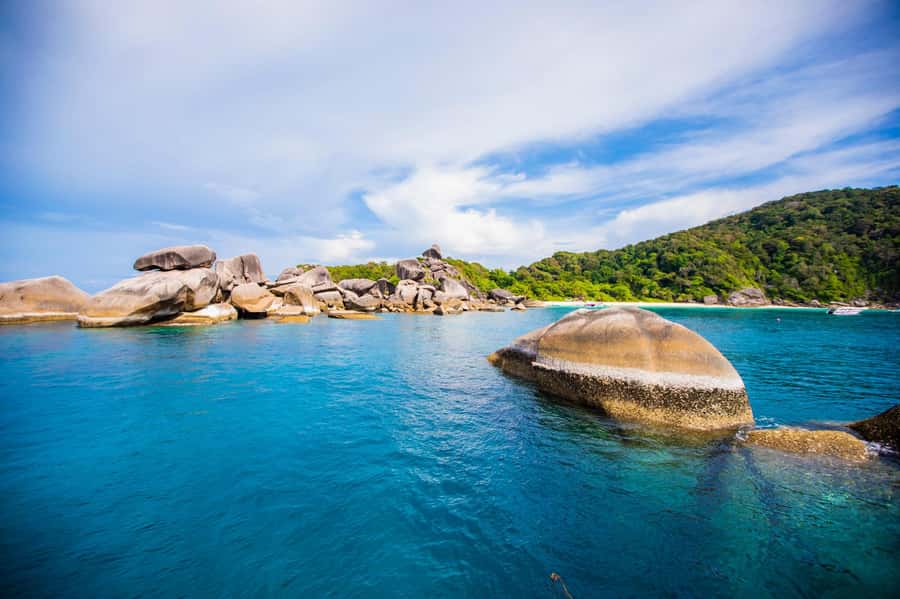 From Phuket: Similan Islands Snorkeling Trip by Speedboat - Donald Duck Bay: quick, fun, and timed
