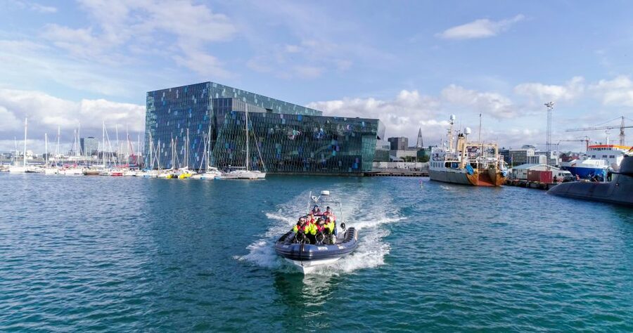 From Reykjavik: Whale Watching Tour by Speedboat - Should you book this Reykjavik whale watching speedboat tour?