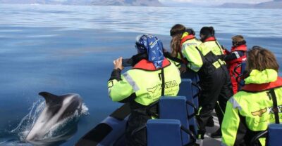 From Reykjavik: Whale Watching Tour by Speedboat - The RIB setup: suspension seats, waterproof overalls, and smart footwear