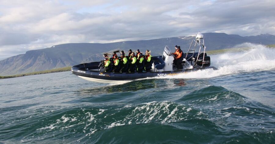 From Reykjavik: Whale Watching Tour by Speedboat - Puffins near the islands: why this stop is more than a bonus