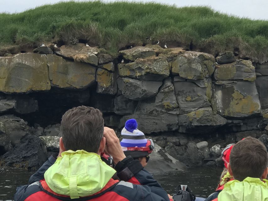 From Reykjavik: Whale Watching Tour by Speedboat - Value for $192: does it pencil out for your time in Reykjavik?