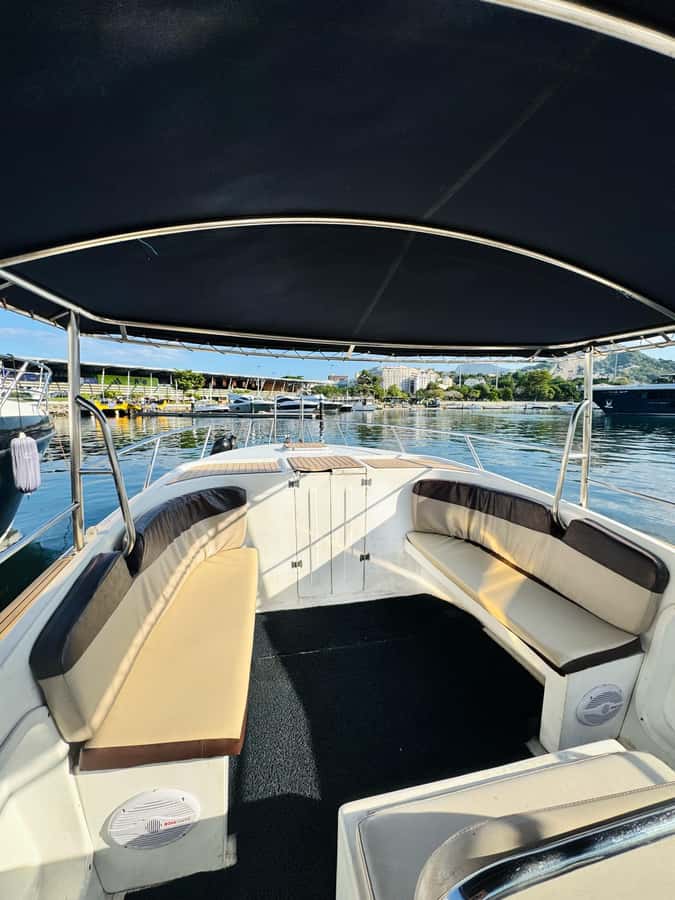 From Rio de Janeiro: Private Speedboat Tour - Captain and crew experience: Flavia and Wellington’s kind reputation