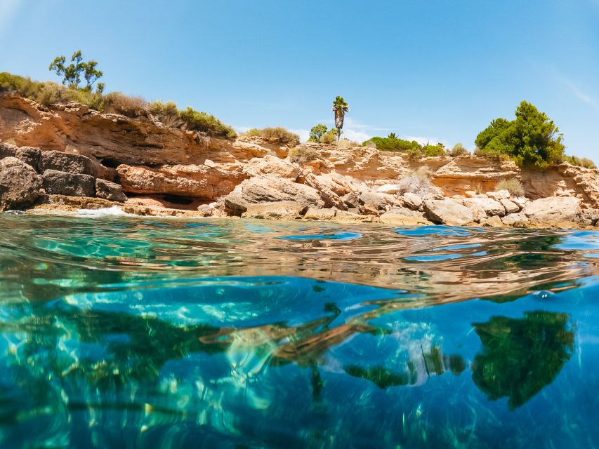 From Salou/Cambrils: Speedboat Tour - Booking details that actually matter on the day