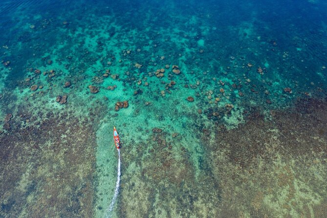 From Samui: Ko Tao and Koh Nang Yuan Speedboat Day Trip - Ao Muang and Mango Bay in Koh Tao: Snorkeling You Can Actually Enjoy