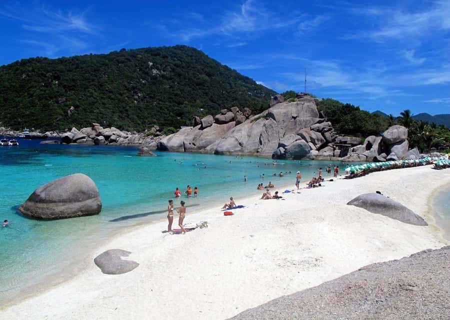 From Samui: Ko Tao and Koh Nang Yuan Speedboat Day Trip - Who Should Book This Day Trip From Samui