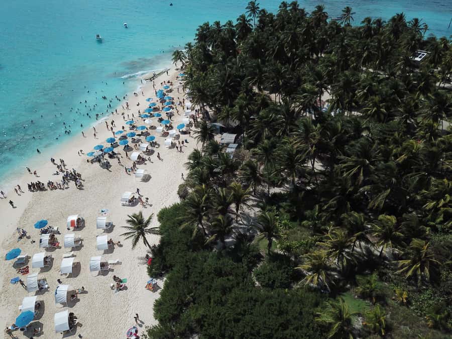 From San Andrés: Speedboat Tour to Johnny Cay Island - Key points to know before you go