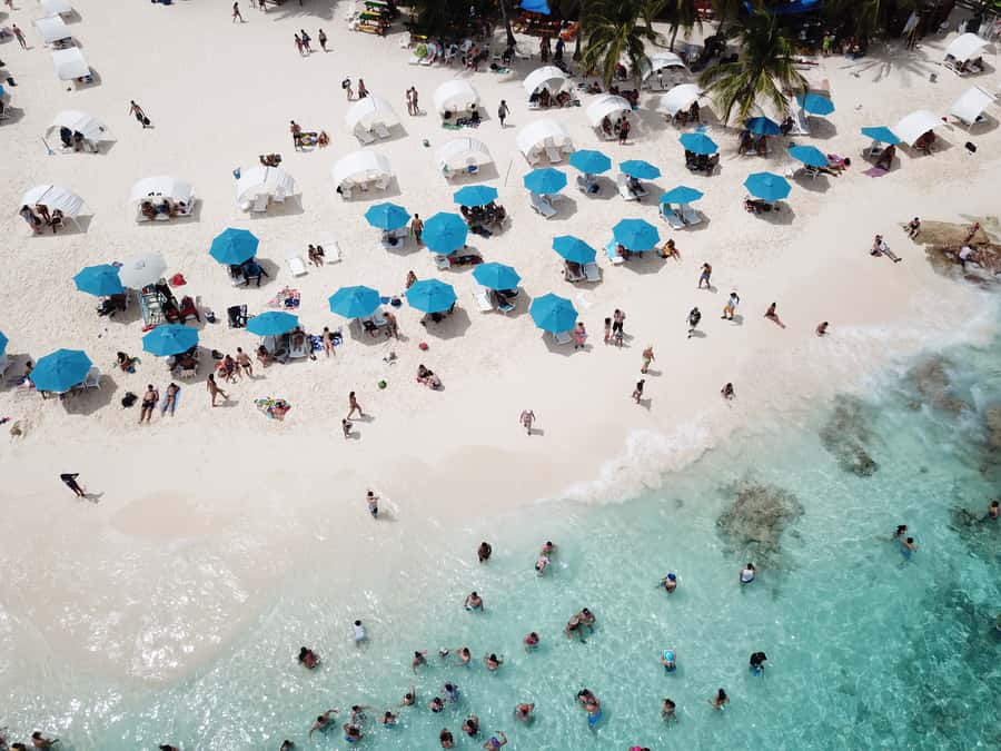From San Andrés: Speedboat Tour to Johnny Cay Island - Snorkeling and marine life: what’s included (and what isn’t)