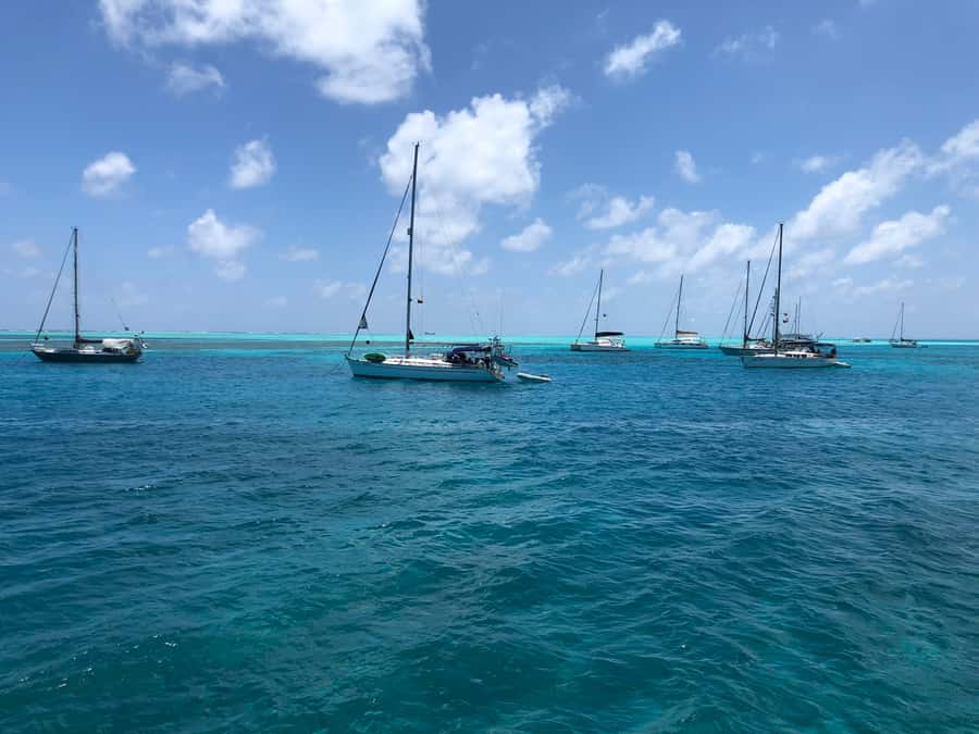 From San Andrés: Speedboat Tour to Johnny Cay Island - A more commercial feel, with real benefits