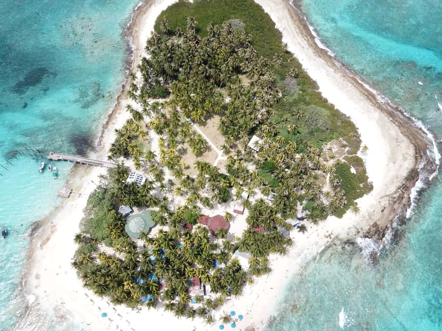 From San Andrés: Speedboat Tour to Johnny Cay Island - Should you book the San Andrés speedboat to Johnny Cay?