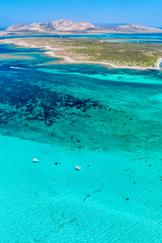From Stintino: Half-Day Speedboat Tour to Asinara - Quick Hits: What Makes This Asinara Speedboat Day Worth It