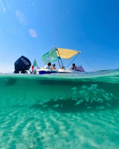 From Stintino: Half-Day Speedboat Tour to Asinara - Stop 1: Your First Swim Break in Asinara Waters