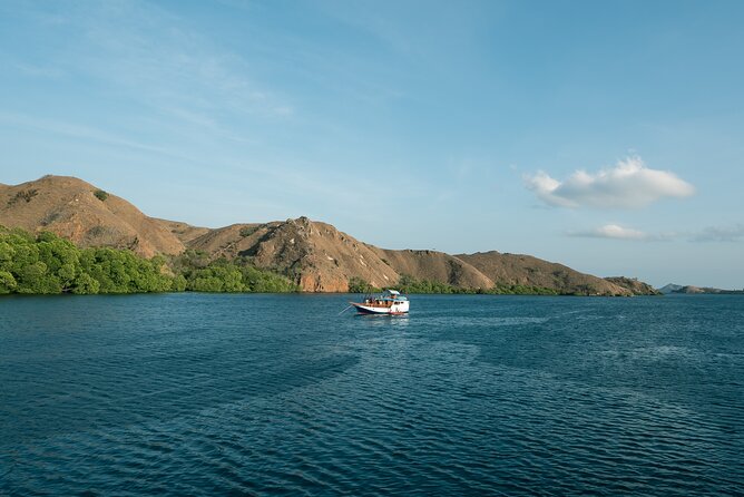 Full-Day Adventure Tour to komodo Island with join Speed Boat tur - Price and Logistics: What $130 Covers (and What It Doesn’t)