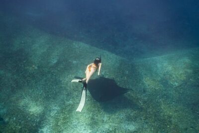 Full-Day Adventure Tour to komodo Island with join Speed Boat tur - Key highlights worth knowing