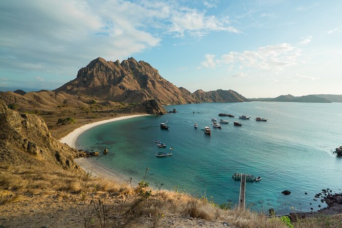 Full-Day Adventure Tour to komodo Island with join Speed Boat tur - Komodo Island Walks with Rangers: Where Dragons Are the Goal