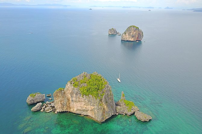 Full-Day Private Phi Phi Islands Speedboat Charter - Monkey Beach: quick wildlife viewing, short on time