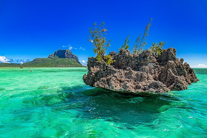 Full day Shared Speedboat Tour - South West Lagoon Dolphin Swim - Returning to Flic en Flac and dropping back to your hotel
