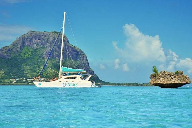 Full day Shared Speedboat Tour - South West Lagoon Dolphin Swim - Price and value: what makes the $106 feel worth it