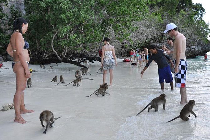 Full Day & Sunset Phi Phi Islands Tour From Phi Phi by Speedboat - Pi Leh Lagoon, Maya Bay, and Loh Samah Bay: the big-name scenery with swim breaks
