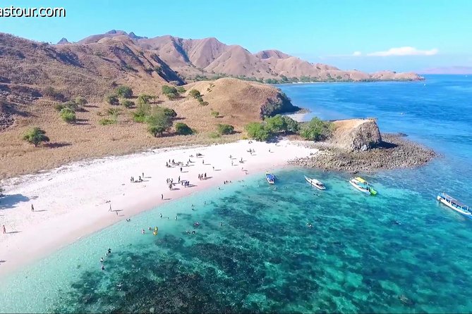 Full Day Tour to Komodo Island By Speed Boat to explore 6 destinations - A 6-stop Komodo day from Labuan Bajo: what $118 really buys
