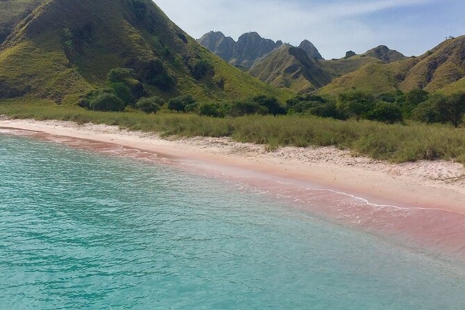 Full Day Tour to Komodo Island By Speed Boat to explore 6 destinations - Pink Beach: snorkeling time, swimming chances, and why minutes matter