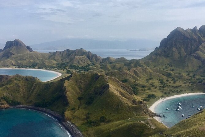 Full Day Tour to Komodo Island By Speed Boat to explore 6 destinations - Speedboat comfort and transfers: where the day can feel smooth or chaotic