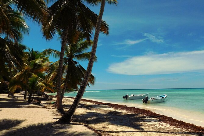 Full Day Tour to Saona Island by Catamaran and Speedboat - Morning Pickup and Getting to Saona by 7:00 am