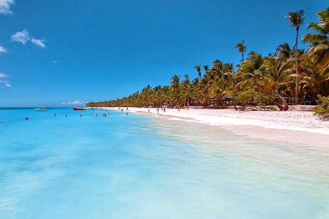 Full Day Tour to Saona Island by Catamaran and Speedboat - Isla Saona: White Sand Time, Open Bar Drinks, and Shell Strolls