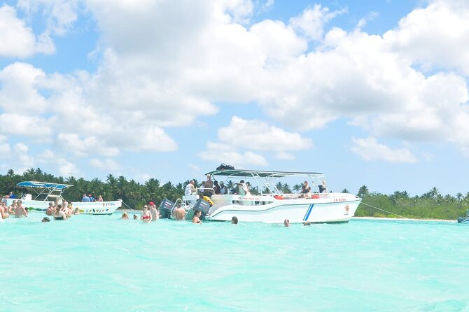 Full Day Tour to Saona Island by Catamaran and Speedboat - Playa Palmilla Natural Pool: Knees-or-Waist Water and a Coral Terrace World