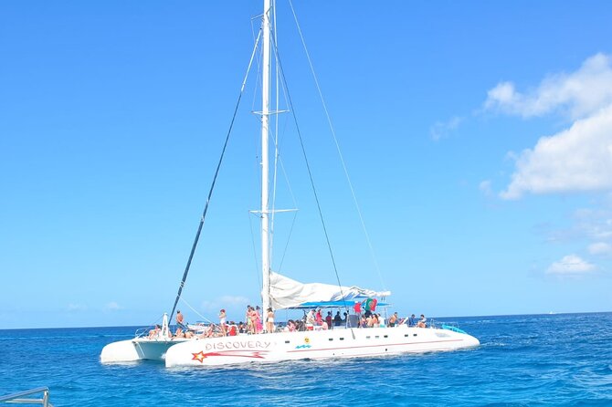 Full Day Tour to Saona Island by Catamaran and Speedboat - Bayahibe Beach Break: Buffet Lunch, Swimming, and an Open Bar Rhythm